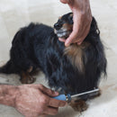 Pente 40 Pinos GermanHart Beauty Saloon Cabo em Gel - New York Pets