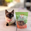 Petisco Natural para Cães e Gatos PetBem Churrasquinho Suíno 25g