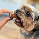 Petisco Natural para Cães e Gatos PetBem Churrasquinho Suíno 25g