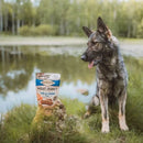 Petisco Natural Carnilove Cordeiro e Salmão Desidratado para Cães - New York Pets