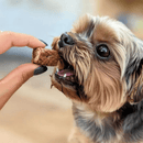 Petisco Natural para Cães e Gatos PetBem Churrasquinho Suíno 25g - New York Pets