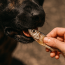 Petisco Natural Sardinha 2un Snacks Fish Good Lovin - New York Pets