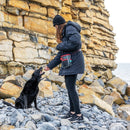 Petisqueira Kong Travel Hiking Bag Bolsa de Treinamento Adestramento Cães - New York Pets