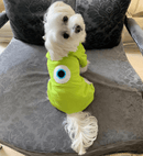 Pijama Macacão Monstro Verde - New York Pets