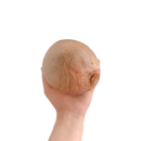 Play Bow Bexiga Bovina Desidratada Luv Mordedor Natural - New York Pets