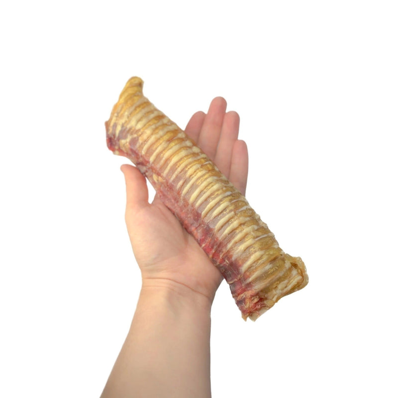 Play Roll – Traqueia Recheada com Pulmão Bovino - LUV - New York Pets