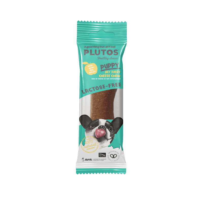 Plutos Puppy Mordedor Natural de Queijo - New York Pets