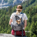 PoochPouch Backpack Carrier Mochila de Costas Pet Outward Hound - New York Pets