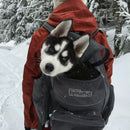 PoochPouch Backpack Carrier Mochila de Costas Pet Outward Hound - New York Pets