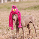 Puxa Puxa Coelho Petta – Brinquedo Interativo com Braços Extensíveis e Sons - New York Pets