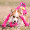 Puxa Puxa Coelho Petta – Brinquedo Interativo com Braços Extensíveis e Sons - New York Pets