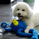 Puxa Puxa Coelho Petta – Brinquedo Interativo com Braços Extensíveis e Sons - New York Pets