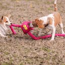 Puxa Puxa Coelho Petta – Brinquedo Interativo com Braços Extensíveis e Sons - New York Pets
