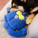 Puxa Puxa Coelho Petta – Brinquedo Interativo com Braços Extensíveis e Sons - New York Pets