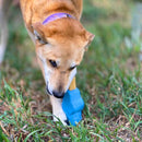 Recheavel de Borracha para Cães – Petz Yak Chew Holder - New York Pets