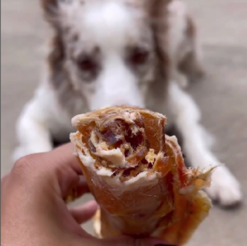 Rocambole Mineiro Graúdo Mordedor para Cachorro - AlecrimPet