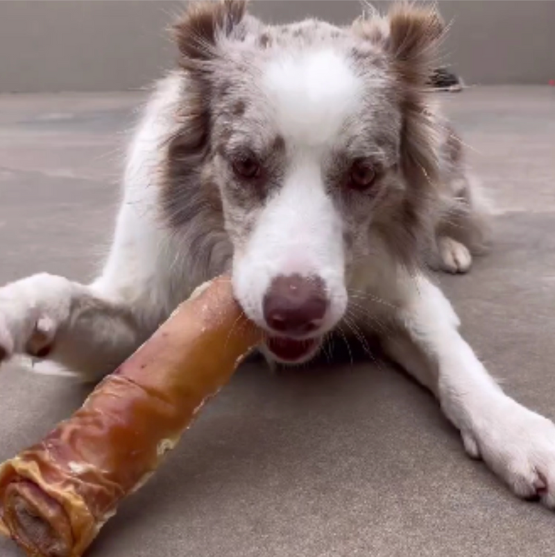 Rocambole Mineiro Graúdo Mordedor para Cachorro - AlecrimPet