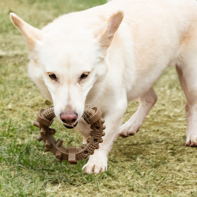 Mordedor Circular Roscão Xbone Germanhart para Cachorro