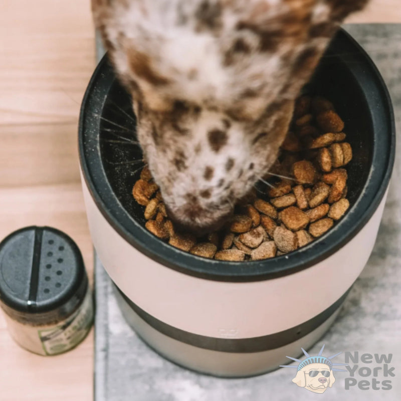 Saborizante Natural De Coelho 40g Natuka - New York Pets