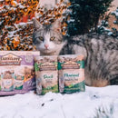 Sache Natural Pato com Catnip Carnilove para Gatos Adultos - New York Pets