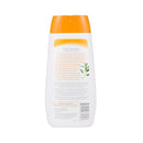 Shampoo anti - coceira arm & hammer ultra fresh - New York Pets