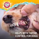 Spray Bucal Enzimático Arm & Hammer: O fim do "bafo de onça" sem precisar de briga - New York Pets