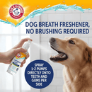Spray Bucal Enzimático Arm & Hammer: O fim do "bafo de onça" sem precisar de briga - New York Pets
