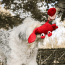 Sr. Caranguejo Petta – Brinquedo Interativo de Cabo de Guerra - New York Pets