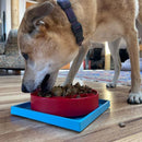 Suporte para Tapete de Lamber - Sodapup - New York Pets