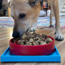 Suporte para Tapete de Lamber - Sodapup - New York Pets