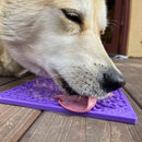 Tapete de Lamber Ossinho eMat - Sodapup - New York Pets