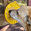 Tapete de Lamber Praia (com Ventosa) - Sodapup - New York Pets