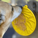 Tapete de Lamber Praia (com Ventosa) - Sodapup - New York Pets