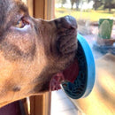 Tapete de Lamber Tartaruga no Mar eMat - Sodapup - New York Pets