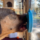 Tapete de Lamber Tartaruga no Mar eMat - Sodapup - New York Pets