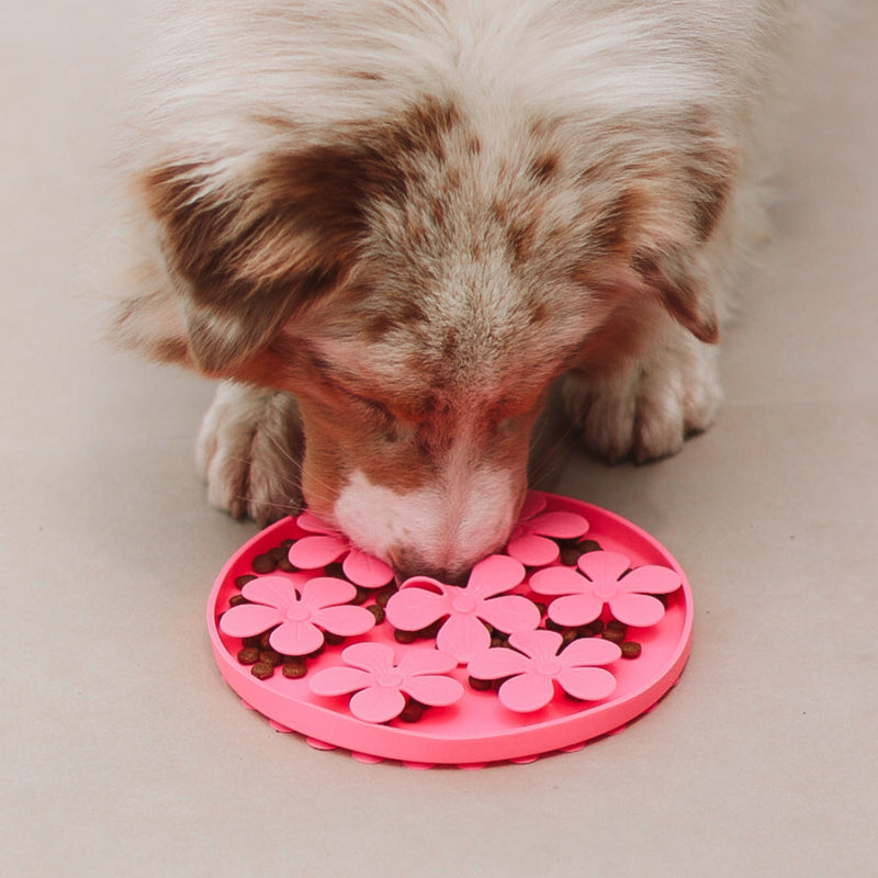 tapete de fucar em silicone para cachorro