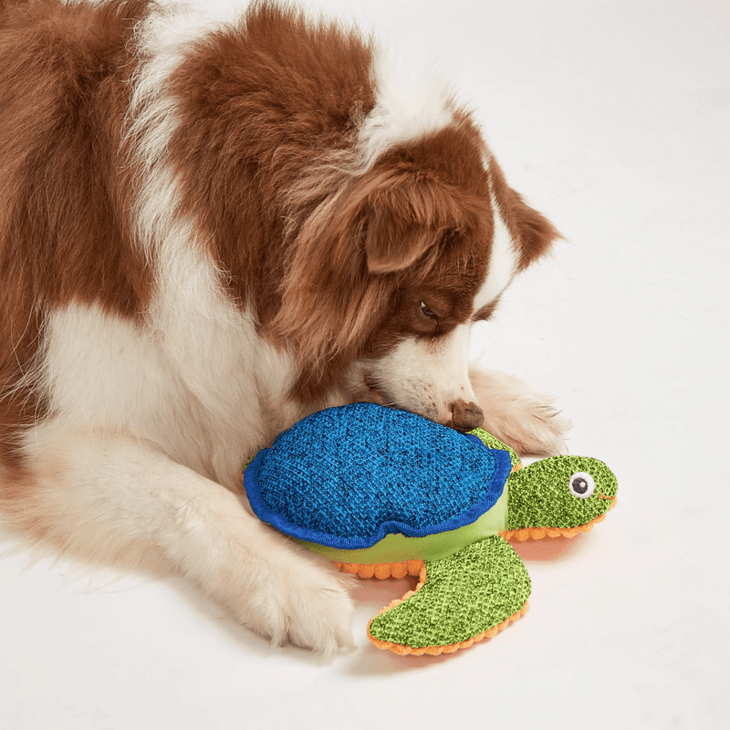 Tartaruga A Vida no Mar FOFOS Petta – Pelúcia com Apito - New York Pets