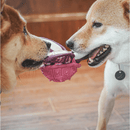 Tartaruga Marinha Petta – Brinquedo Interativo 2 em 1 com Espaço para Petiscos - New York Pets