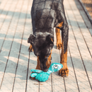 Tartaruga Marinha Petta – Brinquedo Interativo 2 em 1 com Espaço para Petiscos - New York Pets