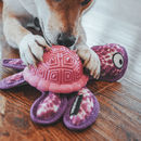 Tartaruga Marinha Petta – Brinquedo Interativo 2 em 1 com Espaço para Petiscos - New York Pets