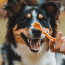 Tiras de Frango 60g Natuka Petisco Natural - New York Pets