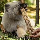 Trança Bovina Natuka – Couro Natural Trançado Sem Pelos Para Cachorro - New York Pets