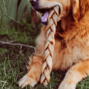 Trança Bovina Natuka – Couro Natural Trançado Sem Pelos Para Cachorro - New York Pets