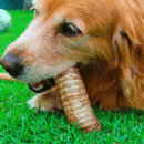 Traquéia Bovina 2un Natuka Mordedor Natural - New York Pets