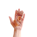 Traqueia Bovina Mini Mordedor Natural LUV - New York Pets