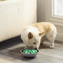 Wobble Slo Bowl comedouro lento da Outward Hound - New York Pets