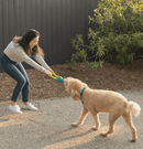 Zippy RopeTugz - Cabo - de - Guerra Macaco - New York Pets